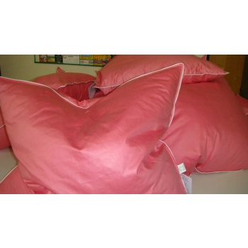 Poduszka (50x60)cm 0,75kg pierze darte klasy B